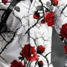 tempFileForShare_20251210-170037